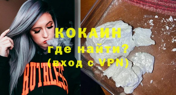 прущие грибы Лабытнанги