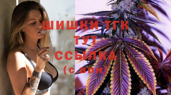 прущие грибы Лабытнанги