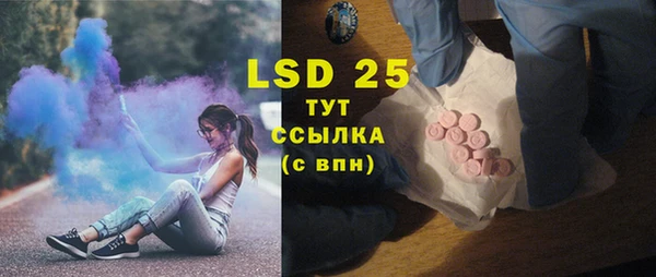 прущие грибы Лабытнанги