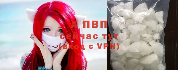 прущие грибы Лабытнанги