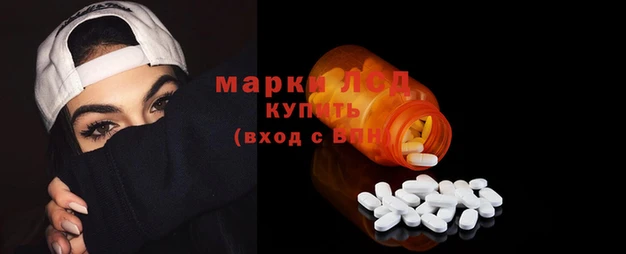 прущие грибы Лабытнанги