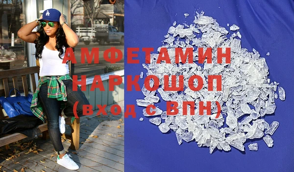 прущие грибы Лабытнанги