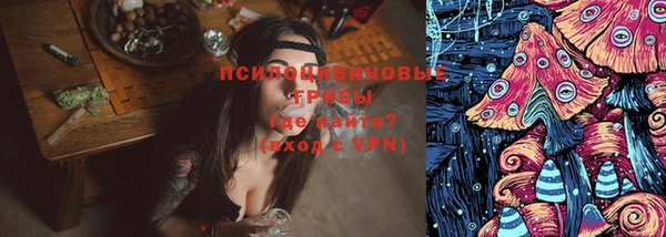 МДПВ Лагань