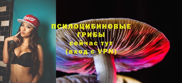 молекула духа Нижневартовск