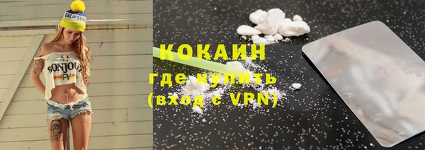 прущие грибы Лабытнанги