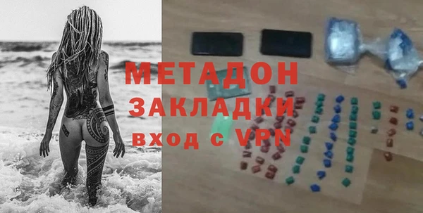 прущие грибы Лабытнанги