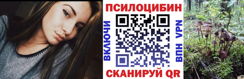 Псилоцибиновые грибы прущие грибы купить наркотик дарк нет как зайти Чита MEGA вход