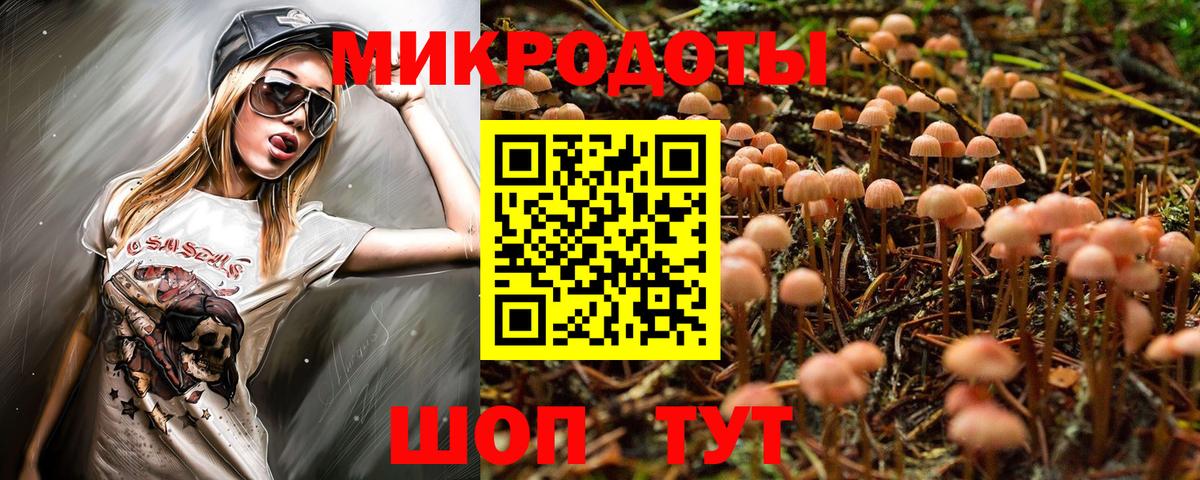 Псилоцибиновые грибы Psilocybine cubensis  Чита 