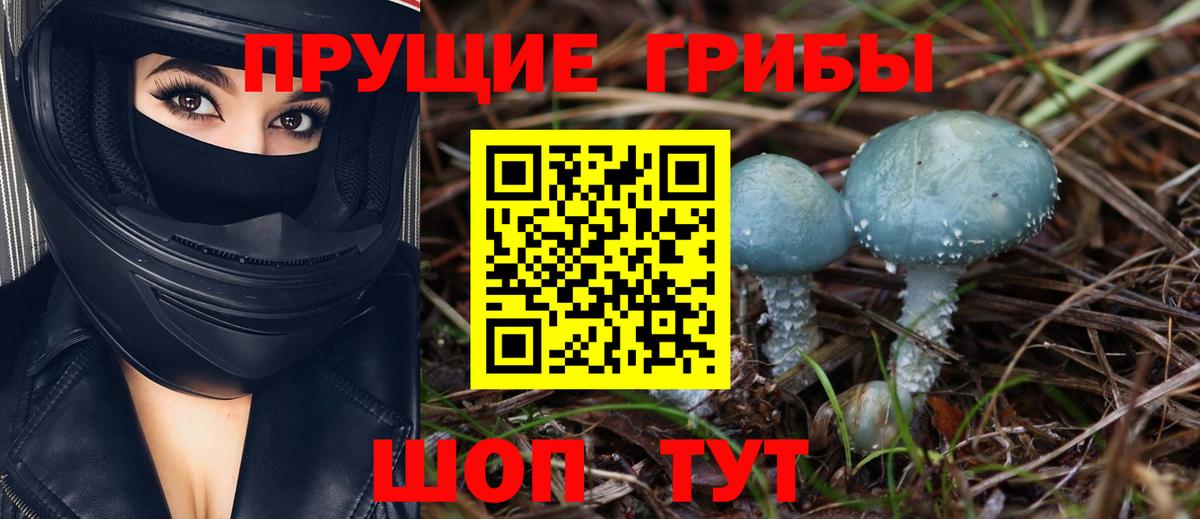 Псилоцибиновые грибы Magic Shrooms  Вход с VPN  Чита 
