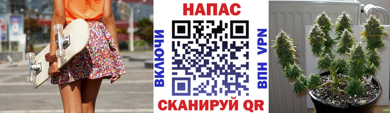 blacksprut сайт  Чита  Марихуана THC 21%  где купить наркотик 
